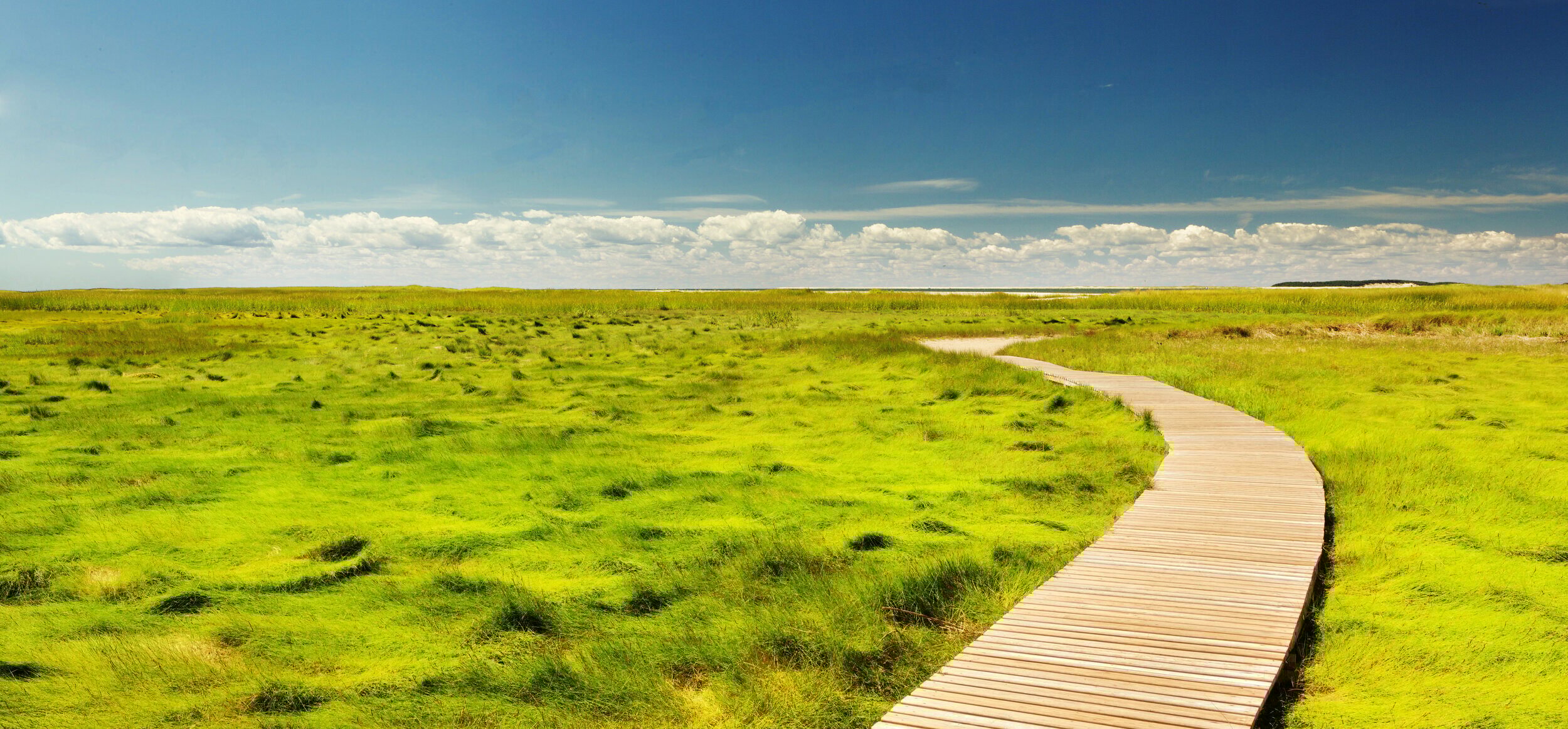 Cape Cod path to ocean