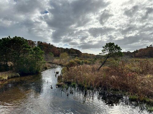 Coonamesset creek